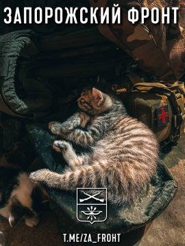 ���� ������� ���� � ������������ �����������