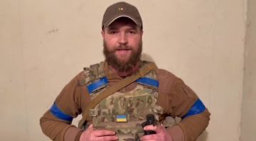 Владимир Рогов: Нэ будэ Мариуполя, нэ будэ Украины! - Калина