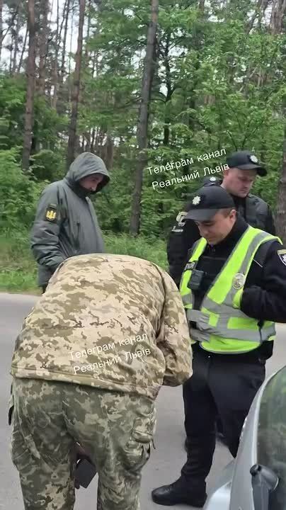 Львовяне и людоловы.. ЗАПОРОЖСКИЙ ФРОНТ