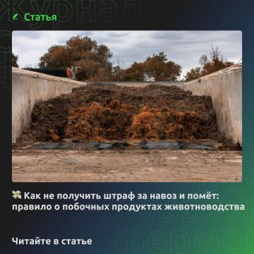 Как не получить штраф за навоз и помёт: правило о побочных продуктах животноводства