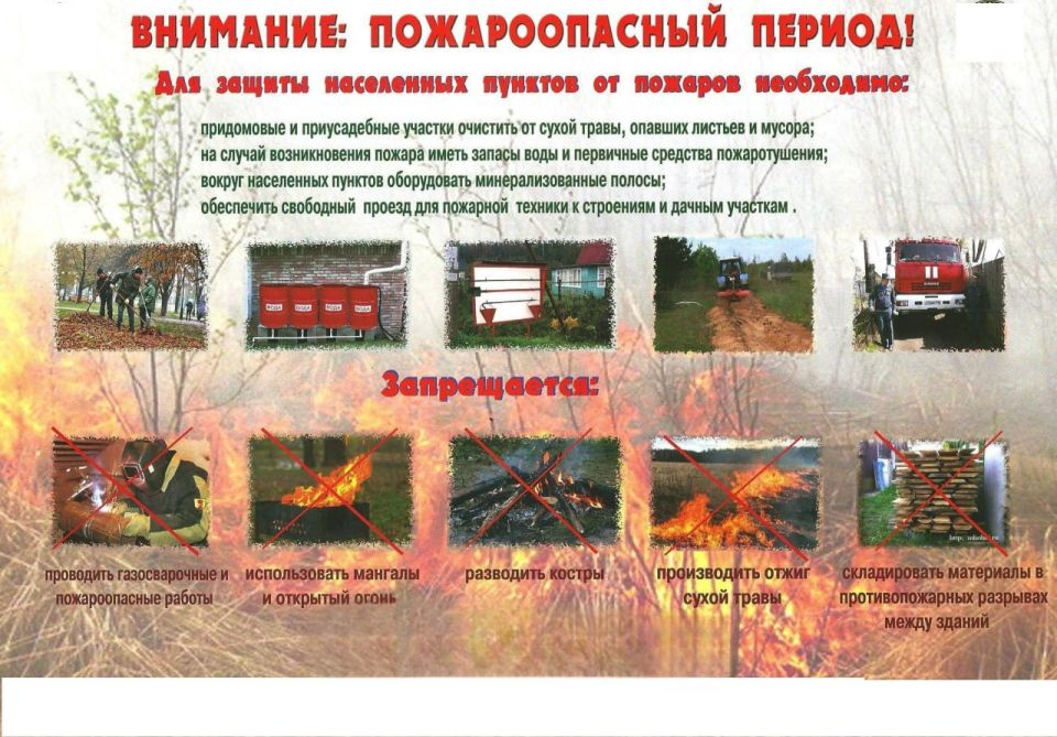 В Запорожской области усилят контроль за численностью саранчовых вредителей В Запорожской области усилят контроль за численностью саранчовых вредителей