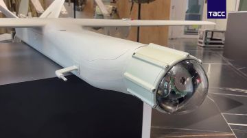 Модернизированная версия барражирующего боеприпаса «КУБ-10МЭ» с дальностью полёта до 100 километров, представленная «Концерном Калашников»