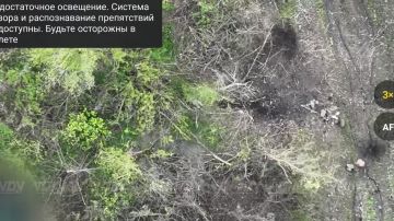 Эксклюзивное видео: воины-дальневосточники бескомпромиссно уничтожили группу пехоты ВСУ в Днепропетровской области