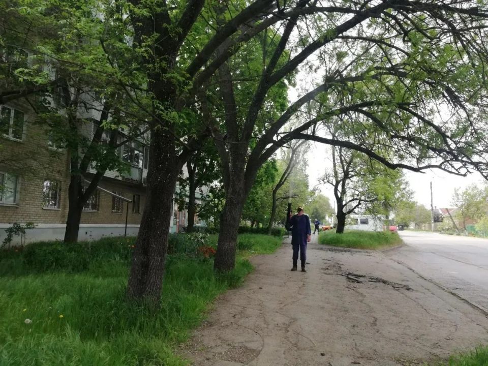 Территории Бердянска обрабатываются от комара, клеща и червеца Территории Бердянска обрабатываются от комара, клеща и червеца