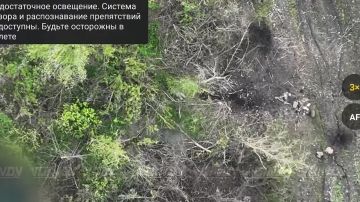 Владислав Шурыгин: Эксклюзивное видео: воины-дальневосточники бескомпромиссно уничтожили группу пехоты ВСУ в Днепропетровской области