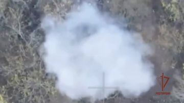 Спецназ Росгвардии уничтожил гаубицу Д-20 украинских националистов на южном направлении