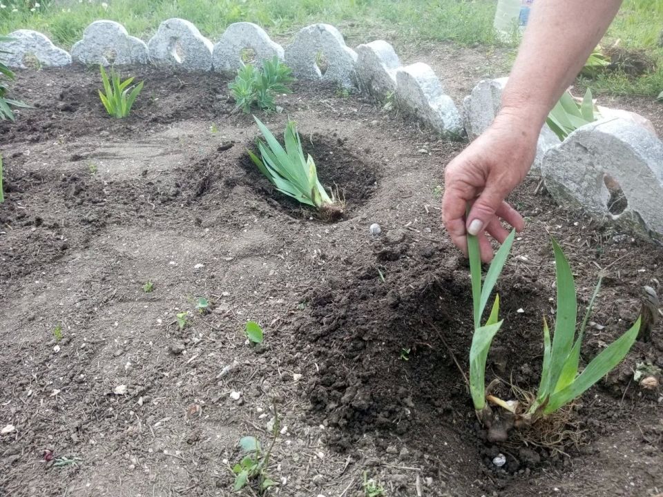 Забота о братских могилах – наша общая ответственность, а не только предпраздничная традиция Забота о братских могилах – наша общая ответственность, а не только предпраздничная традиция