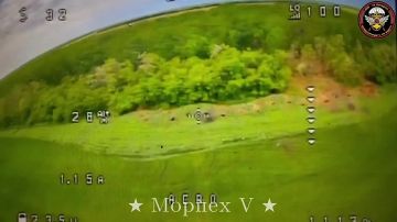 Делимся очередным видео, как выкуриваем из опорного пункта врага на Запорожском направлении