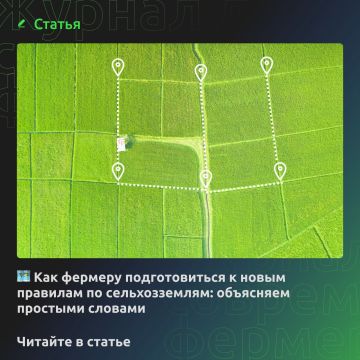 Как фермеру подготовиться к новым правилам по сельхозземлям: объясняем простыми словами