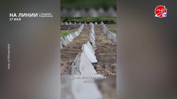 Разбираем обстановку на фронте вместе с Андреем Хорьковым в программе «На Линии» | 27 мая