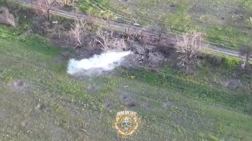 ����������� �����������. ��������� ������ 4-� ������� ���� 58 ����� �������� �� ������������� �������� ���, ������� �� ������������