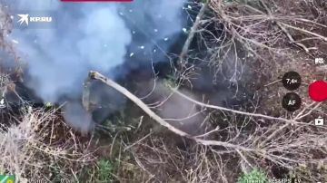 ���������, ���� � ������� ��������� � �����: ��������� ���� � ������� ��� ���������� � ����������� �������
