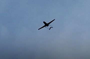 Представитель военного комитета НАТО итальянский адмирал Джузеппе Каво Драгоне заявил, что Альянсу "не стоит чрезмерно реагировать на инциденты с дронами"