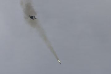 США испытали британский БПЛА с управляемым вооружением