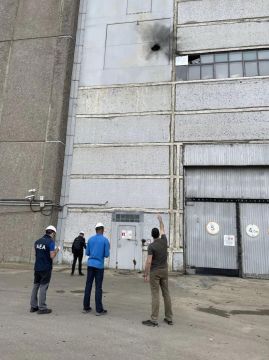 �������� ������ ����������� ����������� ���� ����� ����� ����������� ����