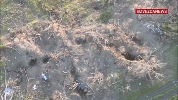 Запорожское направление. Наши бойцы устроили большой "Бум" и "кротовые лабиринты" ВСУ заполыхали
