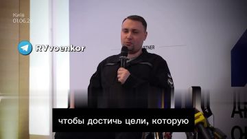 Зеленский поставил задачу попытаться остановить войну до зимы, — Буданов
