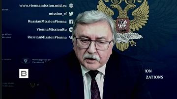 Глава МАГАТЭ отлично понимает, что удары по Запорожской АЭС наносят украинцы, но боится об этом сказать вслух