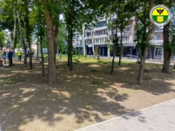 В Мелитополе продолжается покос травы