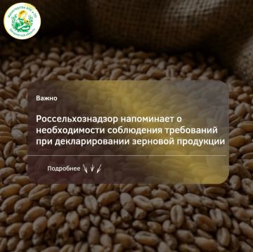 С начала 2026 года в Запорожской области специалисты Азово-Черноморского межрегионального управления Россельхознадзора проверили 668 деклараций о соответствии на 882,1 тыс