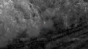 1. ������ ���������� ���� 14 ����������� ������� �������� ����������� ����� "������" �� ����������� ����� ���� ���������� �� ����������� �����������