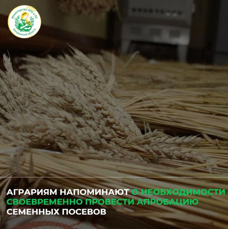 Напоминаем о перерегистрации сельхозтехники до 01 января 2027 года Напоминаем о перерегистрации сельхозтехники до 01 января 2027 года