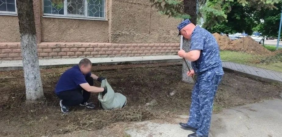Сотрудники ИК-2 УФСИН России по Запорожской области присоединились к всероссийской акции «Зелёная весна» Сотрудники ИК-2 УФСИН России по Запорожской области присоединились к всероссийской акции «Зелёная весна»