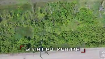 ���� ��������� ������ ���������� ������������ ����� ������ �� �������� ���������� ����� �� �������!