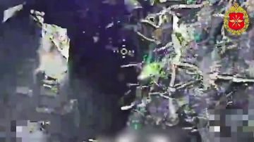 �������� �����: ��� ������� ����� ���������� �������� ��������