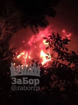 ����� ���������� ������ ������� �� ������� ���� ��� ����� ���� �� ���������, � �������� ������������� ������������� ������
