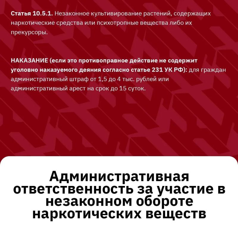 За наркопреступления – суровое наказание без исключений За наркопреступления – суровое наказание без исключений