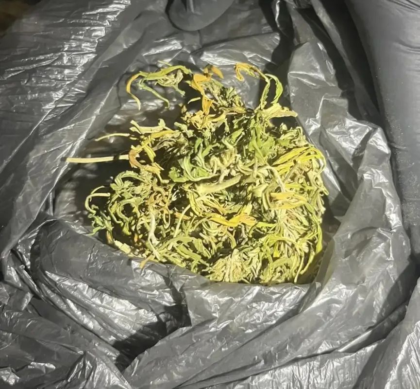 В Бердянском районе полицейские пресекли факт незаконного хранения наркотиков В Бердянском районе полицейские пресекли факт незаконного хранения наркотиков
