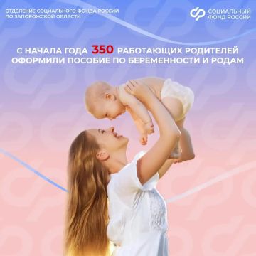 Более 350 работающих родителей из Запорожской области оформили пособие по беременности и родам с начала года