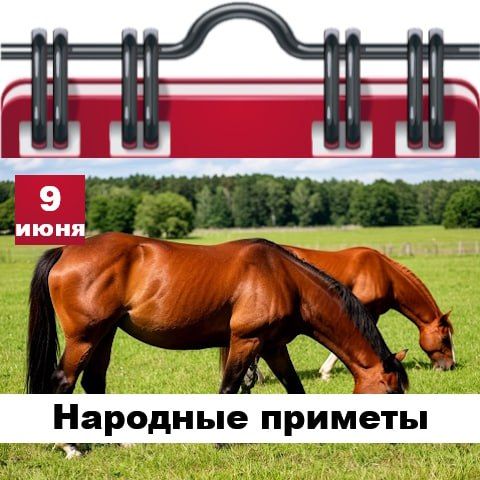 С Добрым утром Днепрорудное С Добрым утром Днепрорудное
