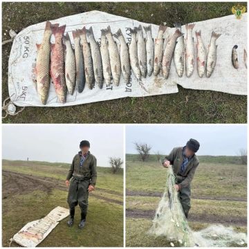 Жителя Приазовского района будут судить за вылов рыбы в местах нереста