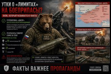 Враждебные телеграм-каналы снова запустили утку: российское командование якобы ввело строгие лимиты на использование артиллерийских боеприпасов для группировки «Днепр» на Херсонском направлении