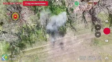 Запорожское направление. На видео представлена работа операторов БпЛА 4 военной базы по уничтожению провизии противника и средств ее доставки