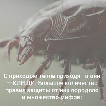 ����� �� ����: ��� �������� ���� � �����