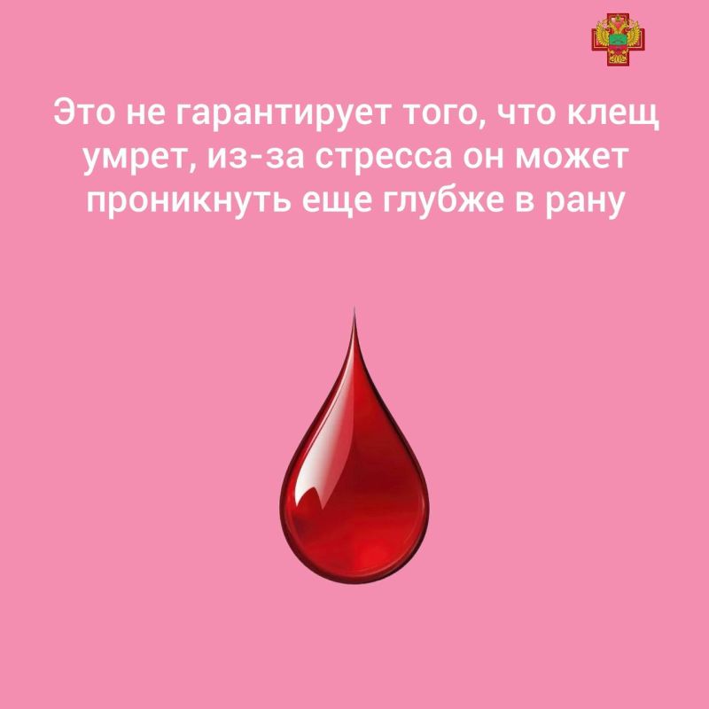 Клещи не спят: как защитить себя и детей Клещи не спят: как защитить себя и детей