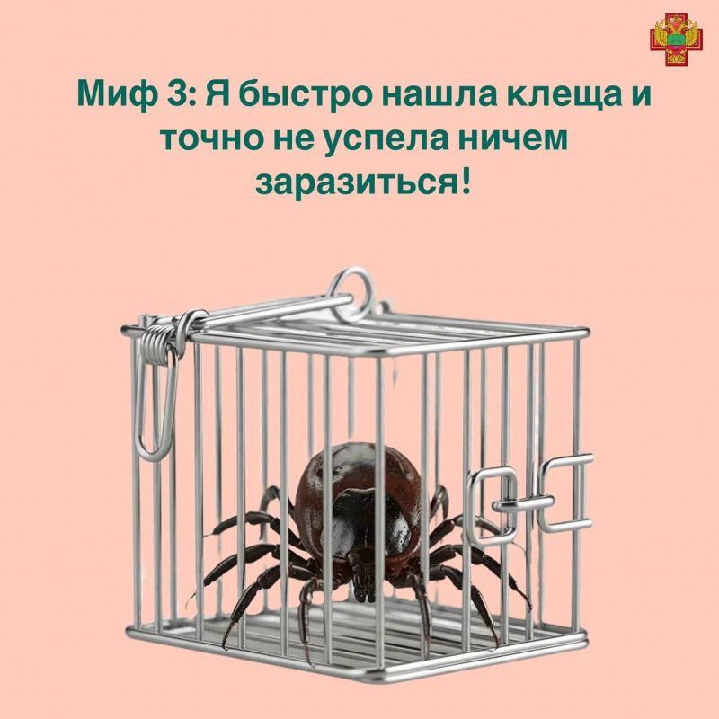 Клещи не спят: как защитить себя и детей Клещи не спят: как защитить себя и детей