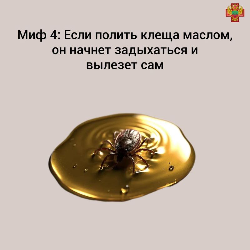 Клещи не спят: как защитить себя и детей Клещи не спят: как защитить себя и детей