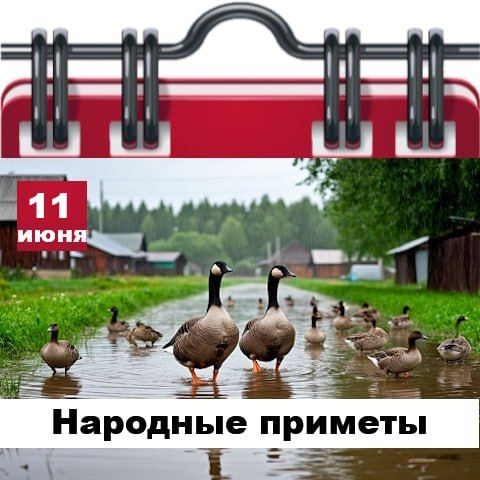 С Добрым утром Днепрорудное С Добрым утром Днепрорудное
