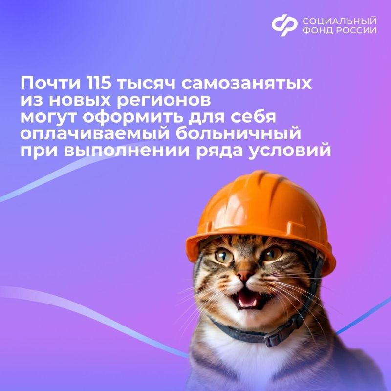 Более 114,8 тысячи самозанятых из новых регионов могут уйти на оплачиваемый больничный