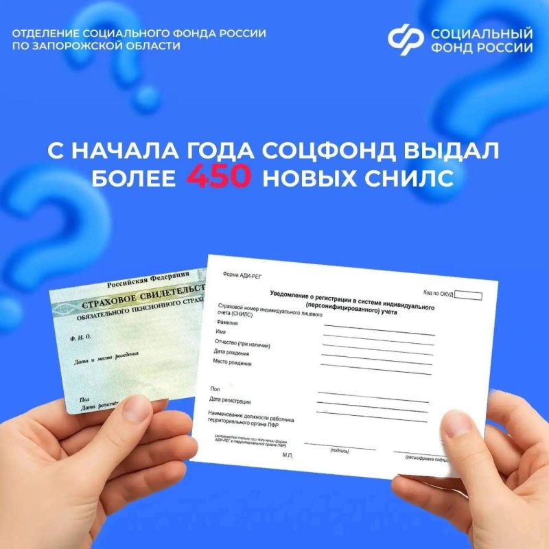 Зачем нужен СНИЛС и где он может понадобиться