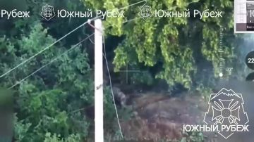 ������� ���� ����� ����������� ����� ���������� �������� ���