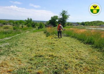 Администрация городского округа Мелитополь продолжает работу по благоустройству территорий