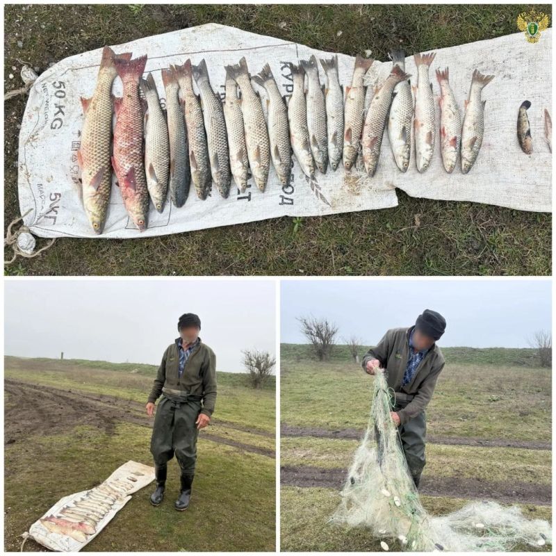 Жителя Приазовского района будут судить за вылов рыбы в местах нереста
