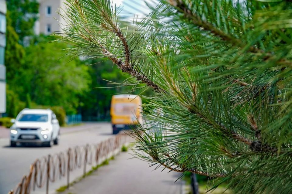 Доброе утро