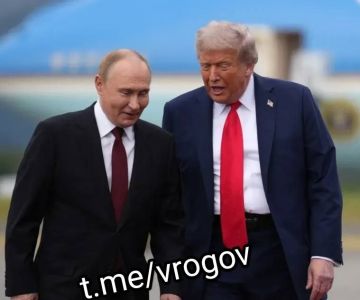 Владимир Рогов: Трамп: Путин - первый!. Владимир Путин по телефону поздравил Дональда Трампа с его 80-летием