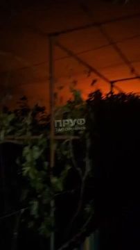 ����� ������ ������ �������� �� �������� �������������� �������������� � ���������